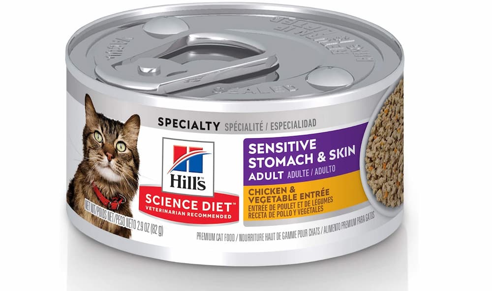 What is the healthiest wet food for a cat?