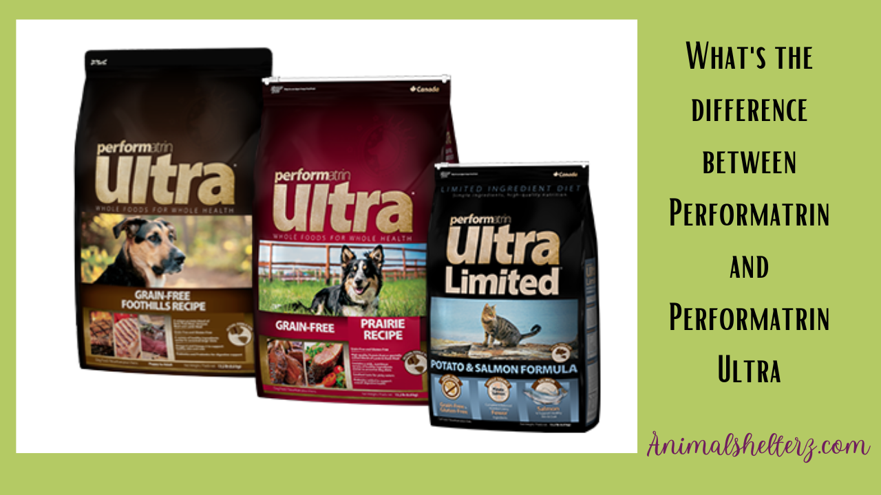 What's the difference between Performatrin and Performatrin Ultra