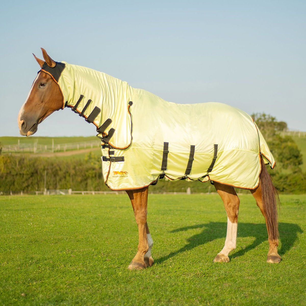 When should I put a fly rug on my horse?