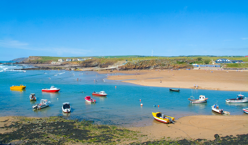 Which beaches in Bude allow dogs?