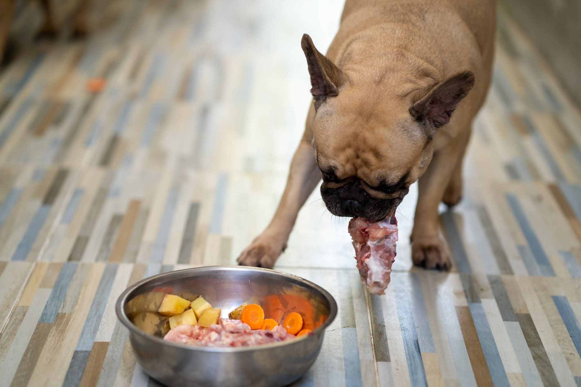 Why is my dog gaining weight on raw food?