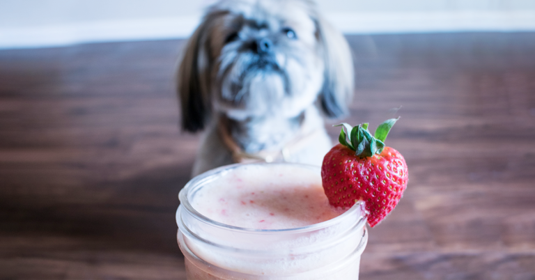 Will yogurt hurt my dog?