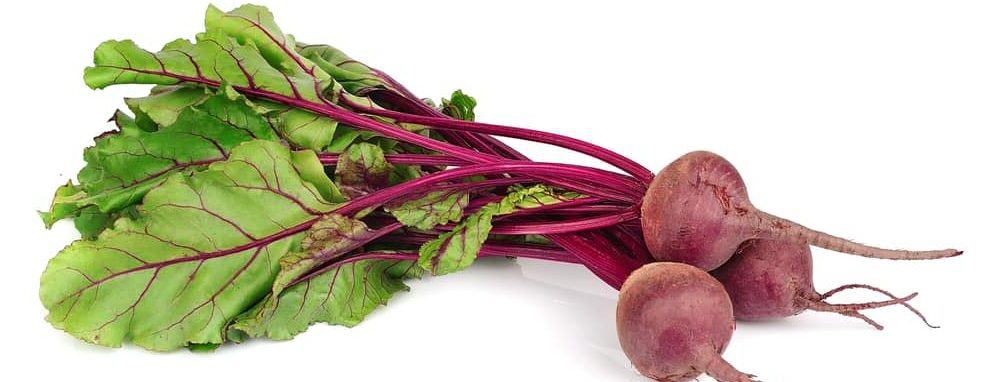 Can guinea pigs have raw beets?