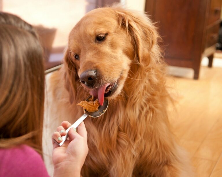 Can pitbulls eat peanut butter?