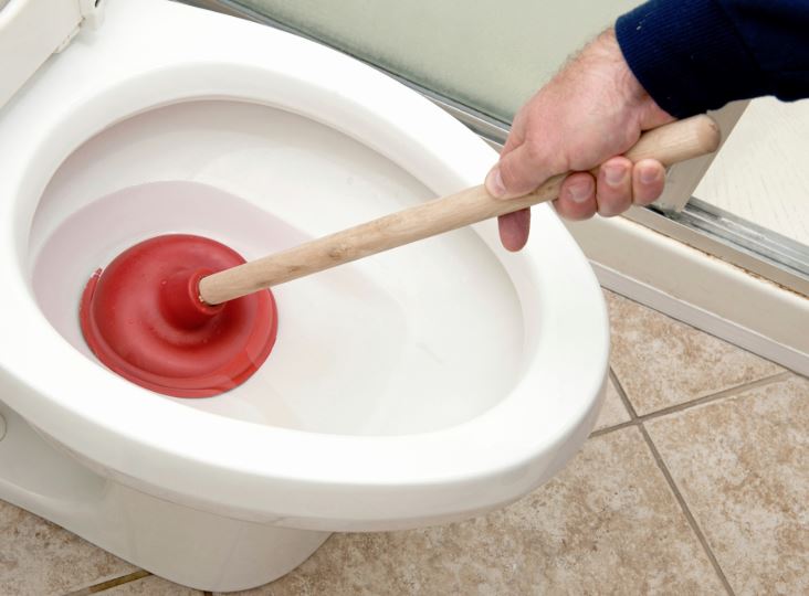 ¿Cómo desatascar un WC de caca?