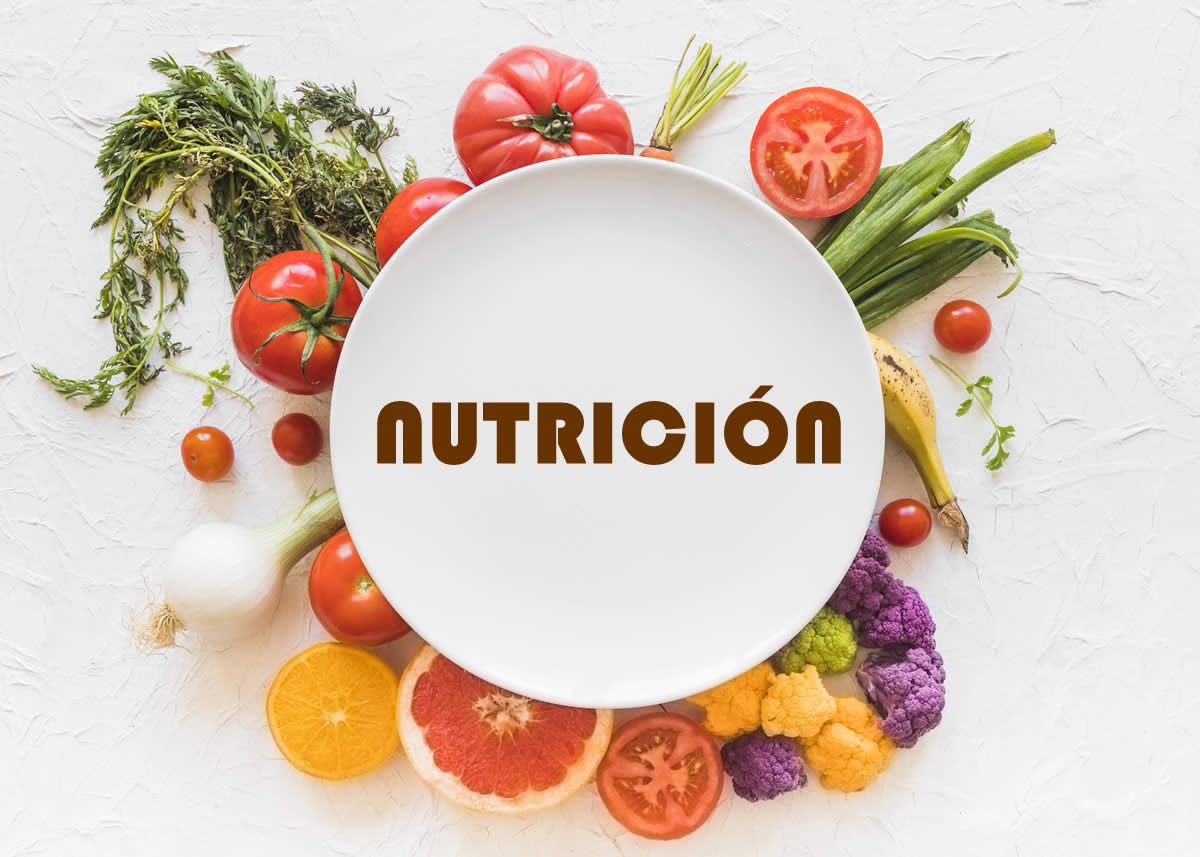 ¿Cuáles son los tipos de nutrición?