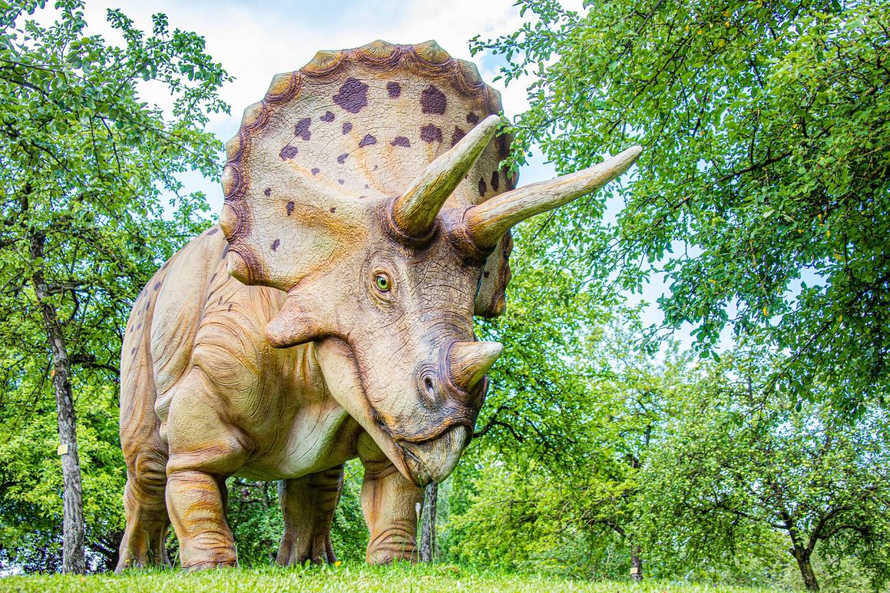 ¿Qué es un Triceratops para niños?