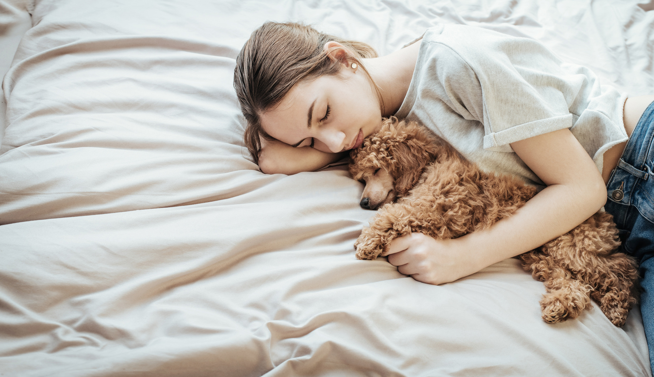 Does a dog like you if it sleeps with you?