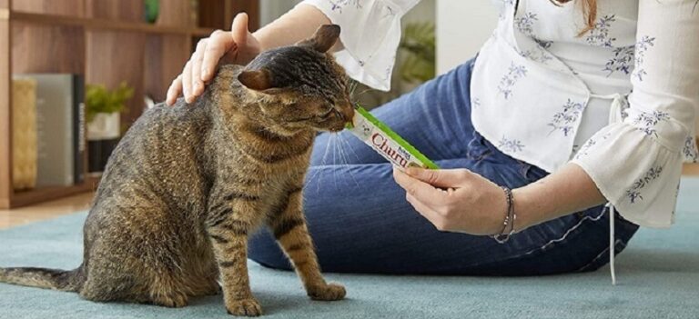 Is Churu good for cats?