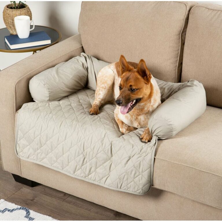 What couch fabric is best for dogs?