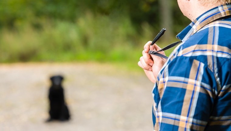Do ultrasonic whistles stop dogs barking?