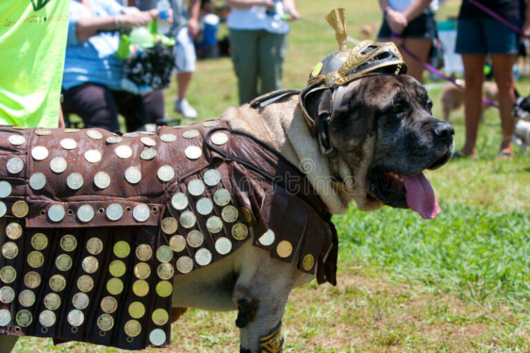 Frequent question: What is a Roman war dog?