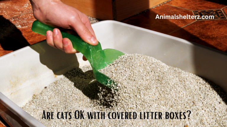 Are cats OK with covered litter boxes?