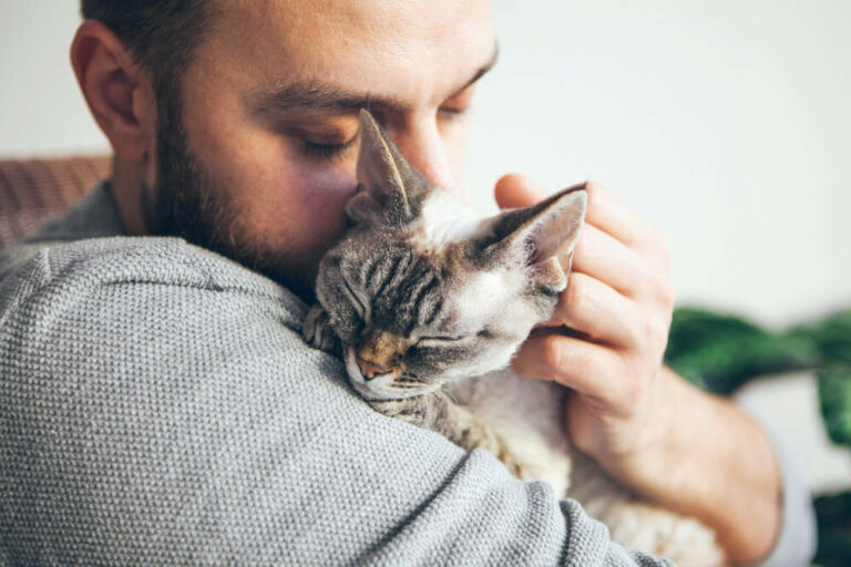 Are cats affectionate to their owners?
