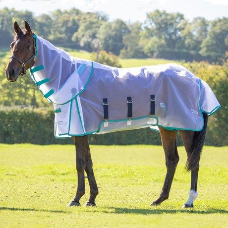 Are fly sheets good for horses?