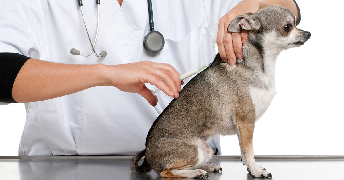 Are rabies vaccines good for 3 years?