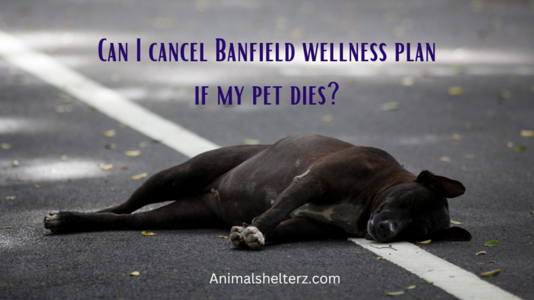 Can I cancel Banfield wellness plan if my pet dies?