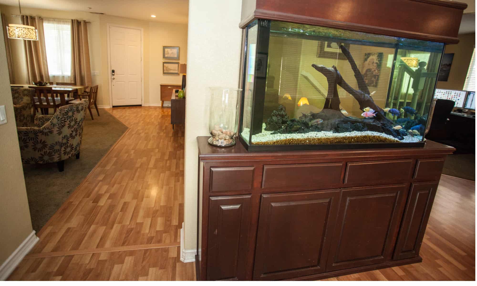 Can I put an aquarium on a cabinet?