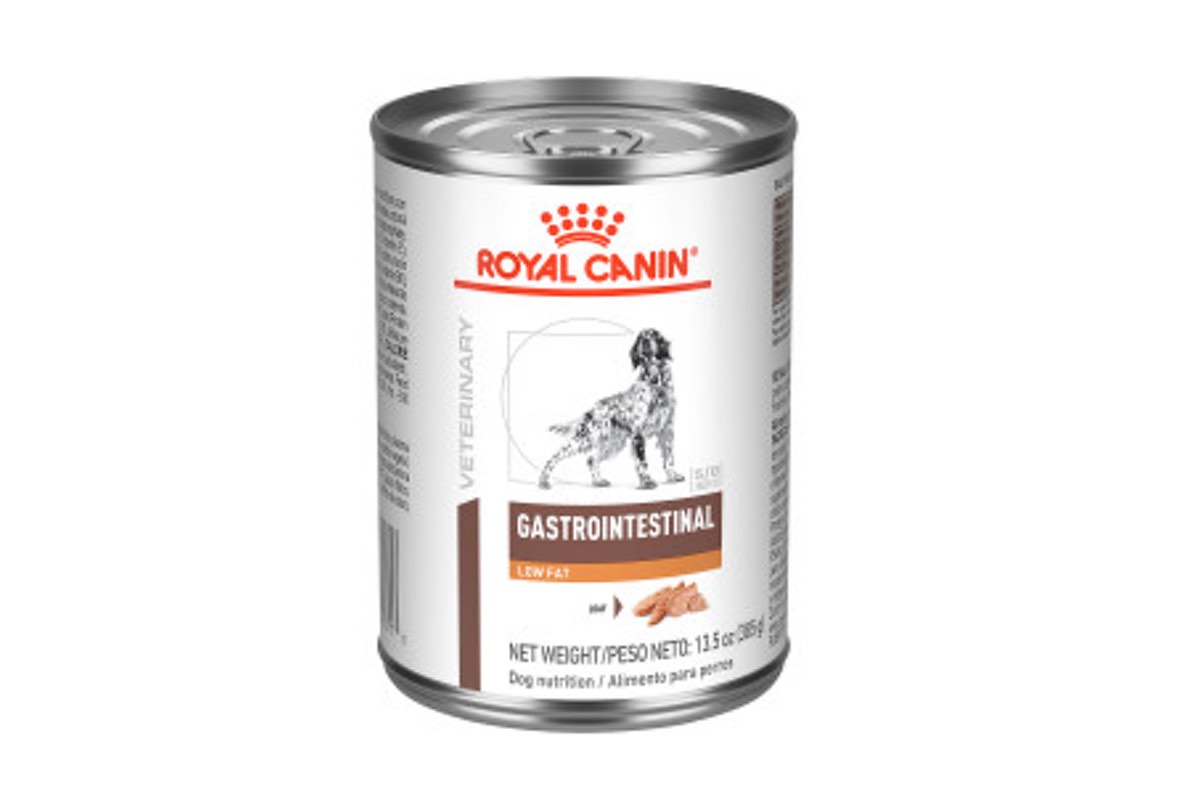 Can you give Royal Canin Gastrointestinal?