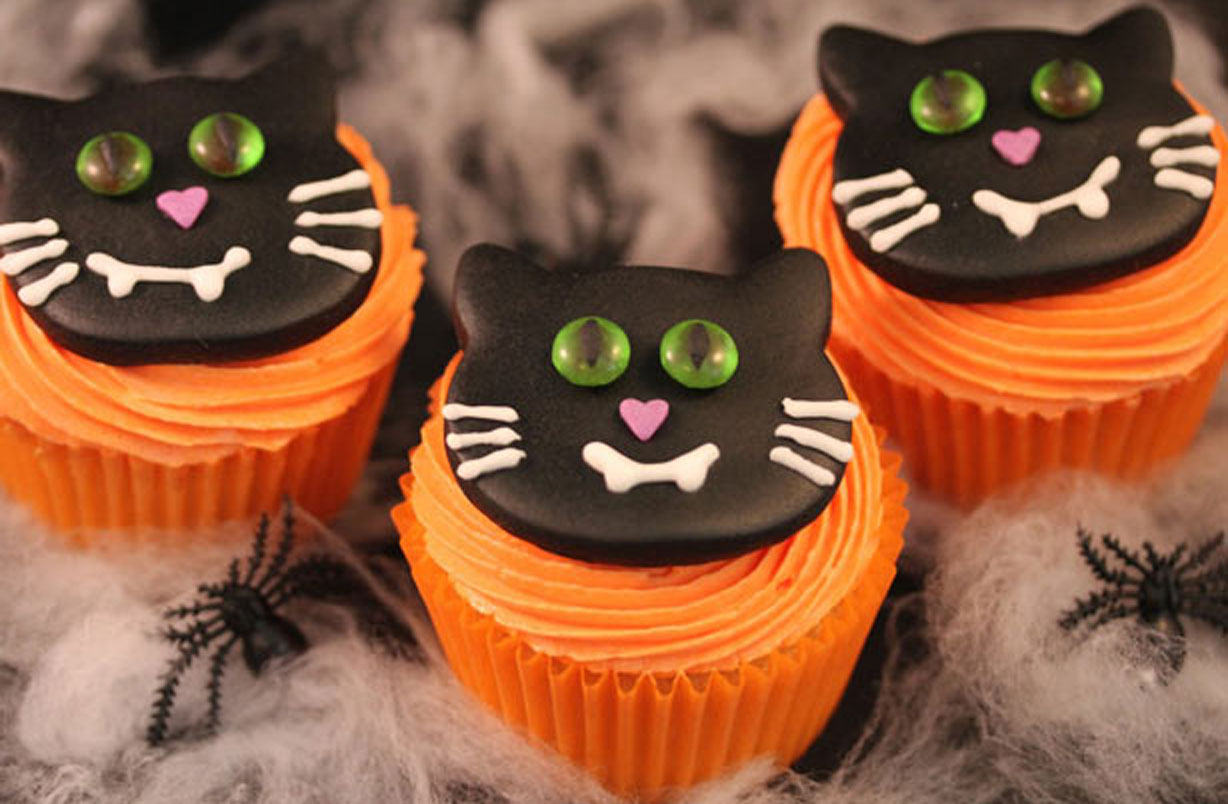 Can you give cats cupcakes?