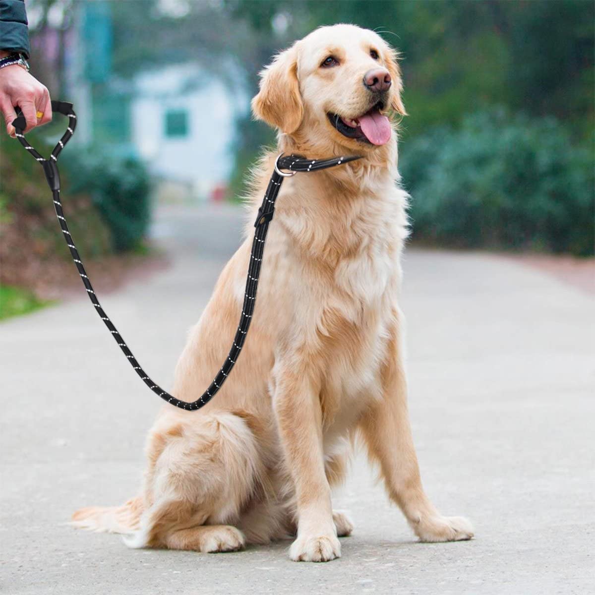 Can you use a slip lead on a dog that pulls?