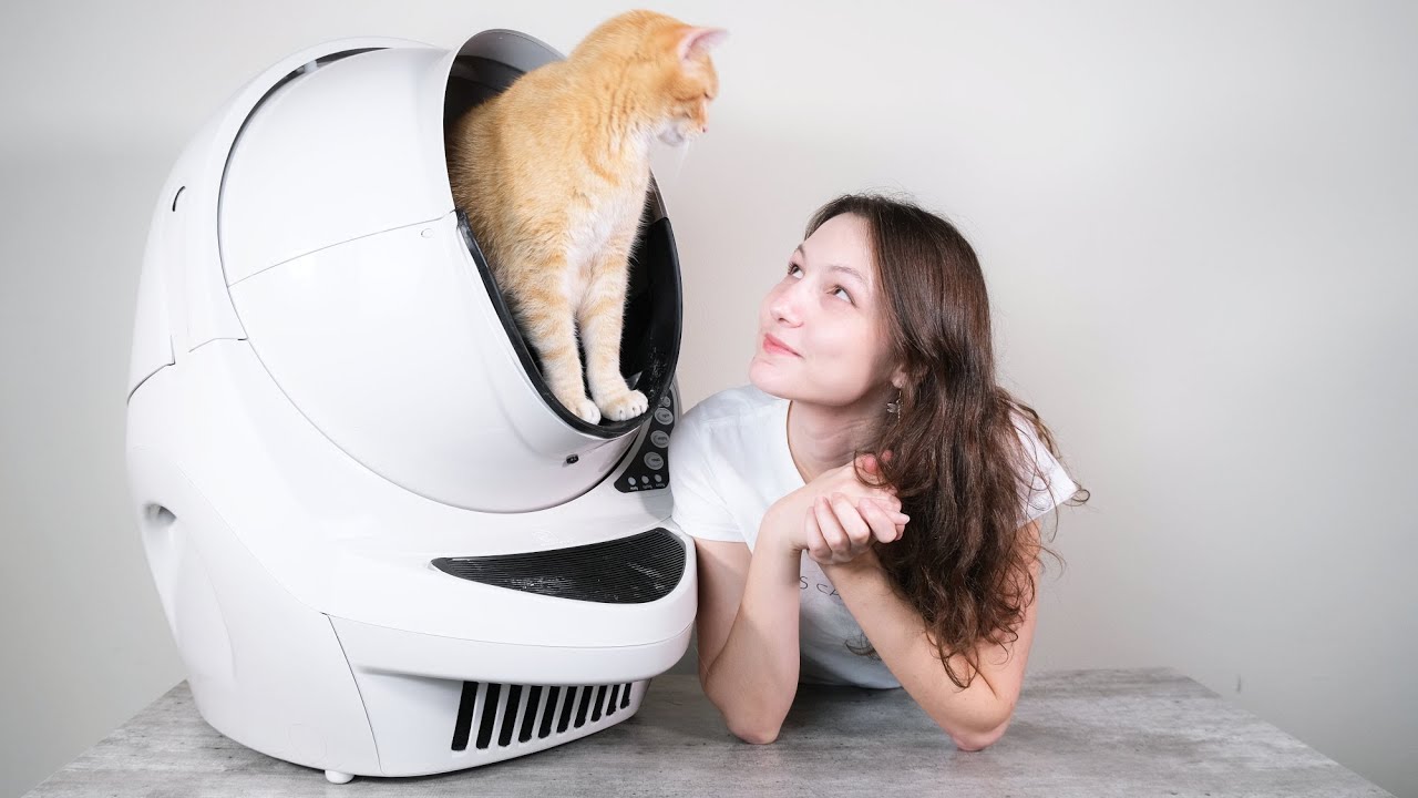 Can you use world's best cat litter in the Litter-Robot?