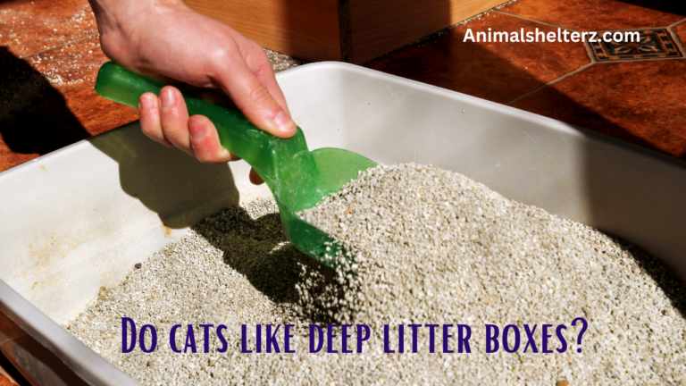 Do cats like deep litter boxes?