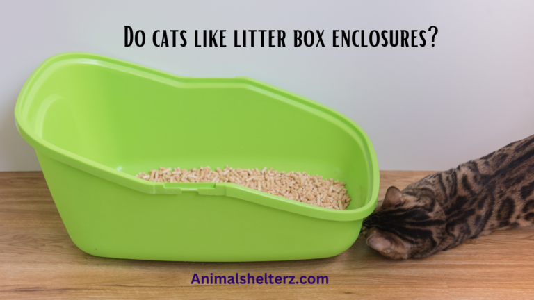 Do cats like litter box enclosures?