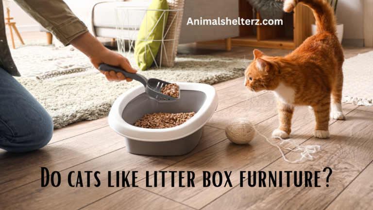 Do cats like litter box furniture?