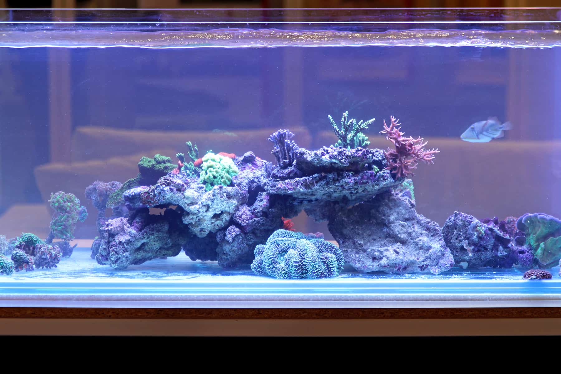 How deep is a 90 gallon aquarium?