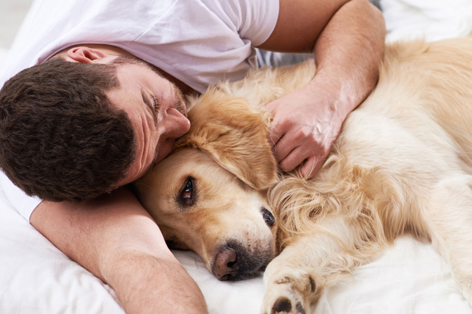 How do I know if my dog is dying or just sick?