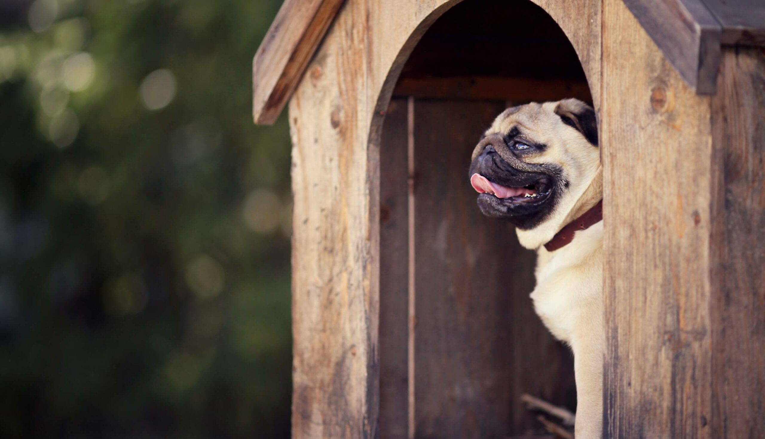 How do you make a homemade dog kennel?