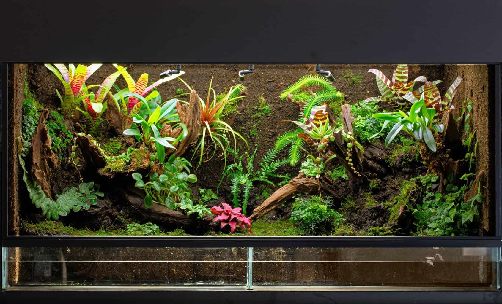 How do you separate land and water in the paludarium?