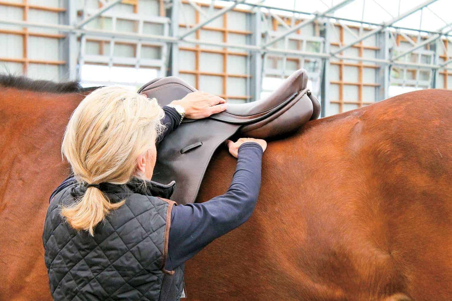 How do you tell if your saddle pad fits your horse?