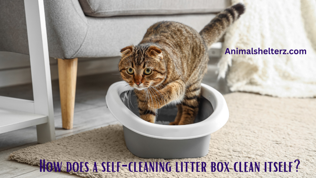 How does a self-cleaning litter box clean itself?