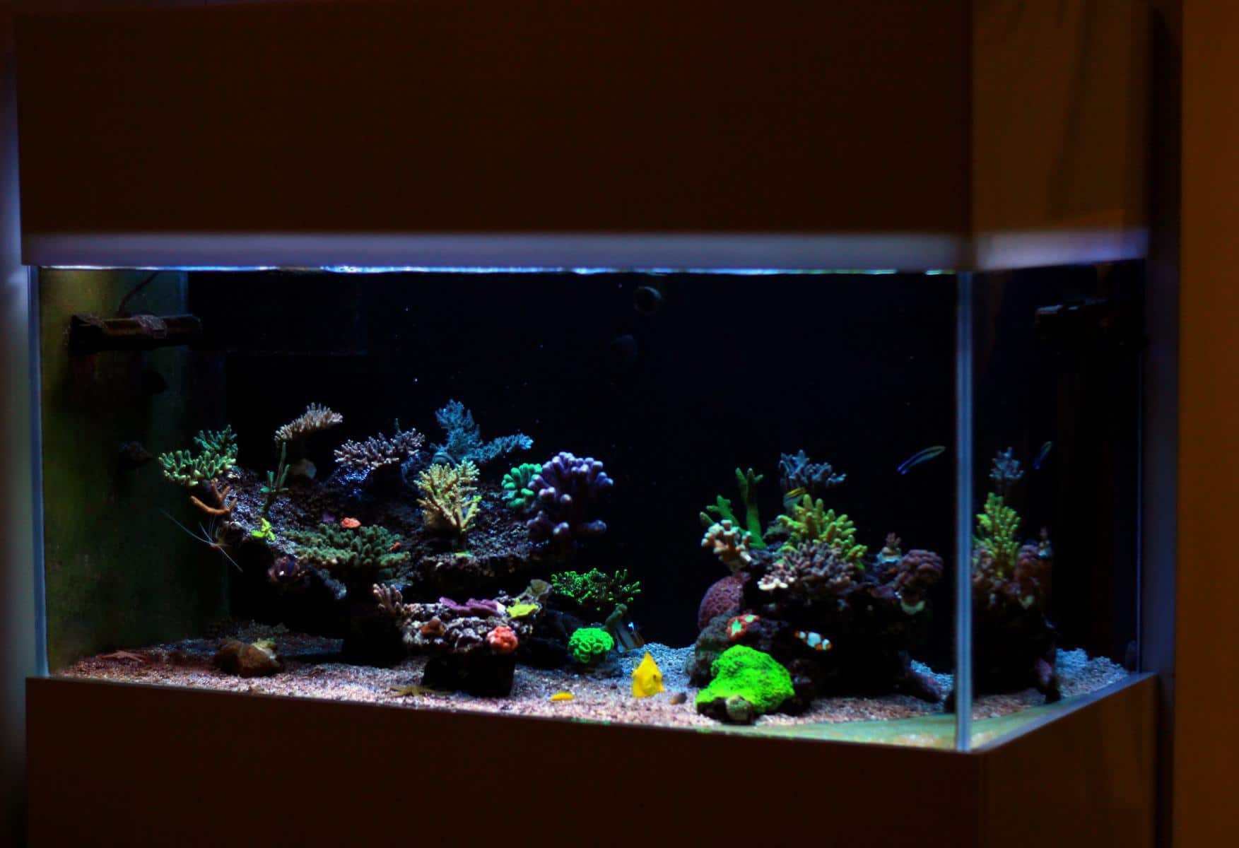 How heavy is a 75 gallon fish tank?