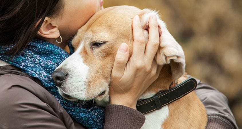 How long does it take to get over the pain of losing a dog?