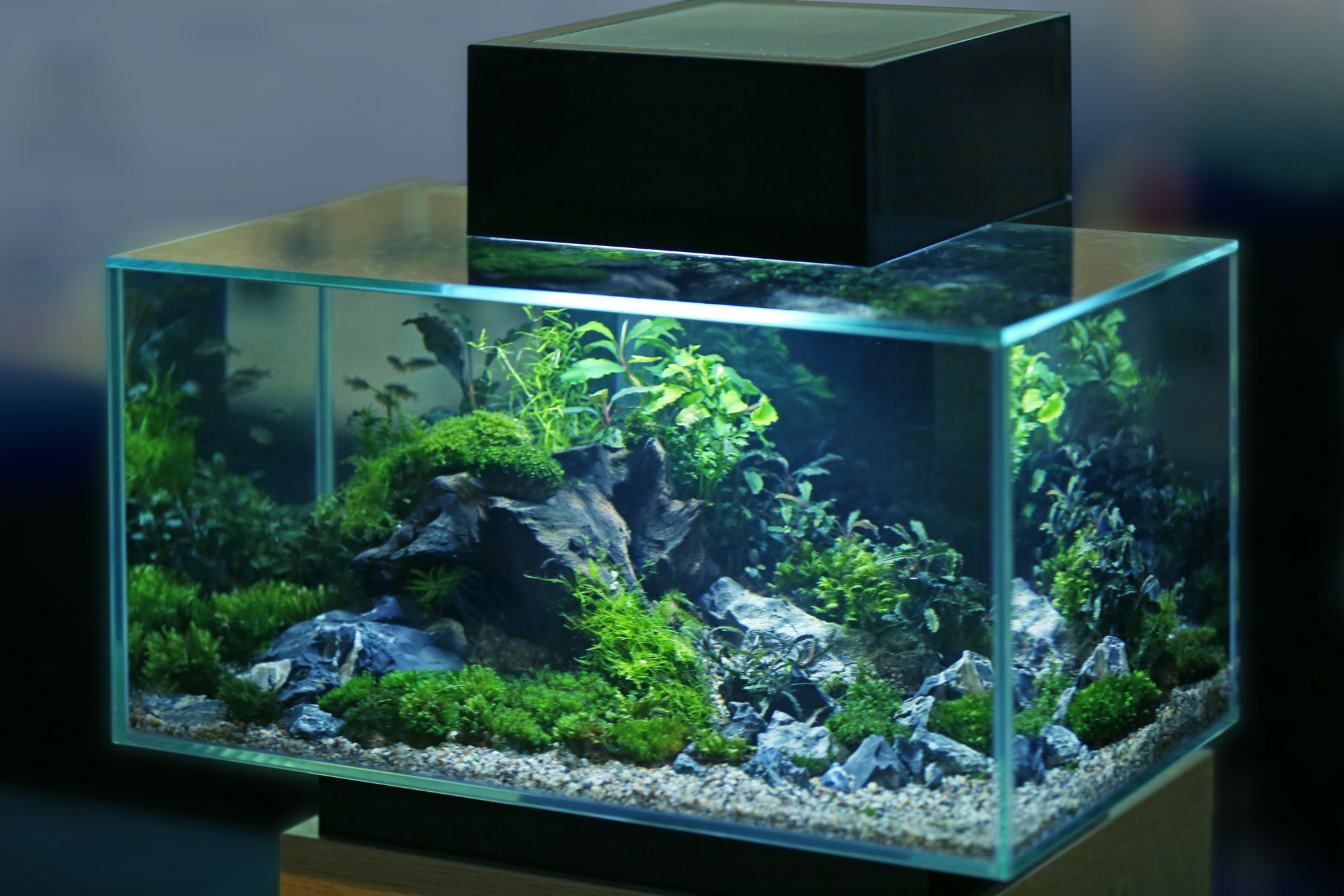 Is Aqueon a good aquarium brand?