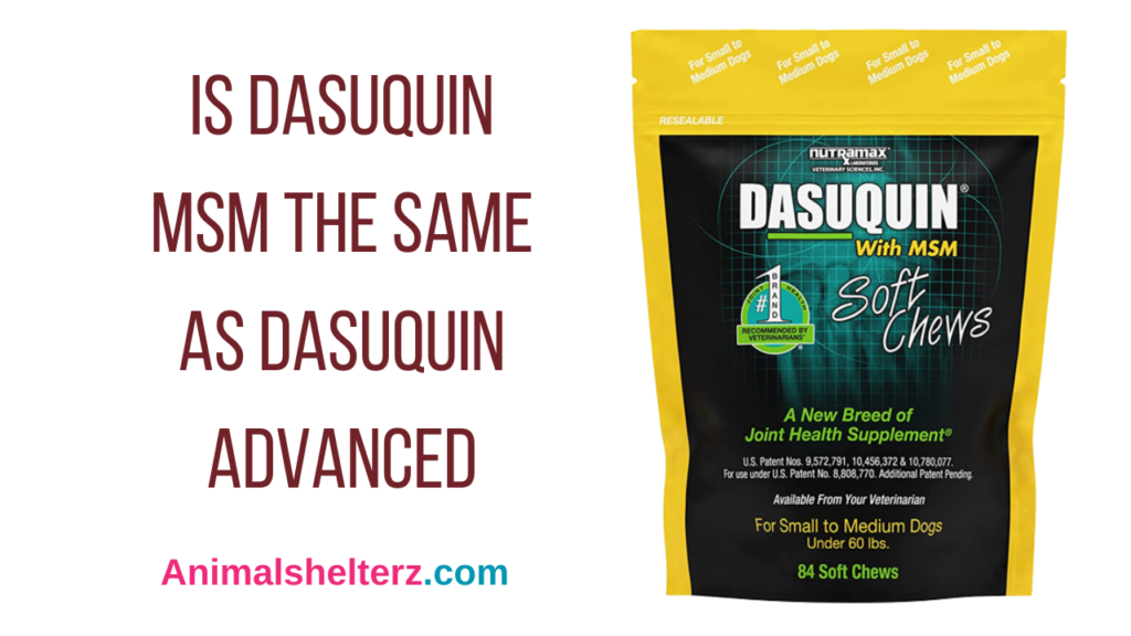 is-dasuquin-msm-the-same-as-dasuquin-advanced-animal-shelters
