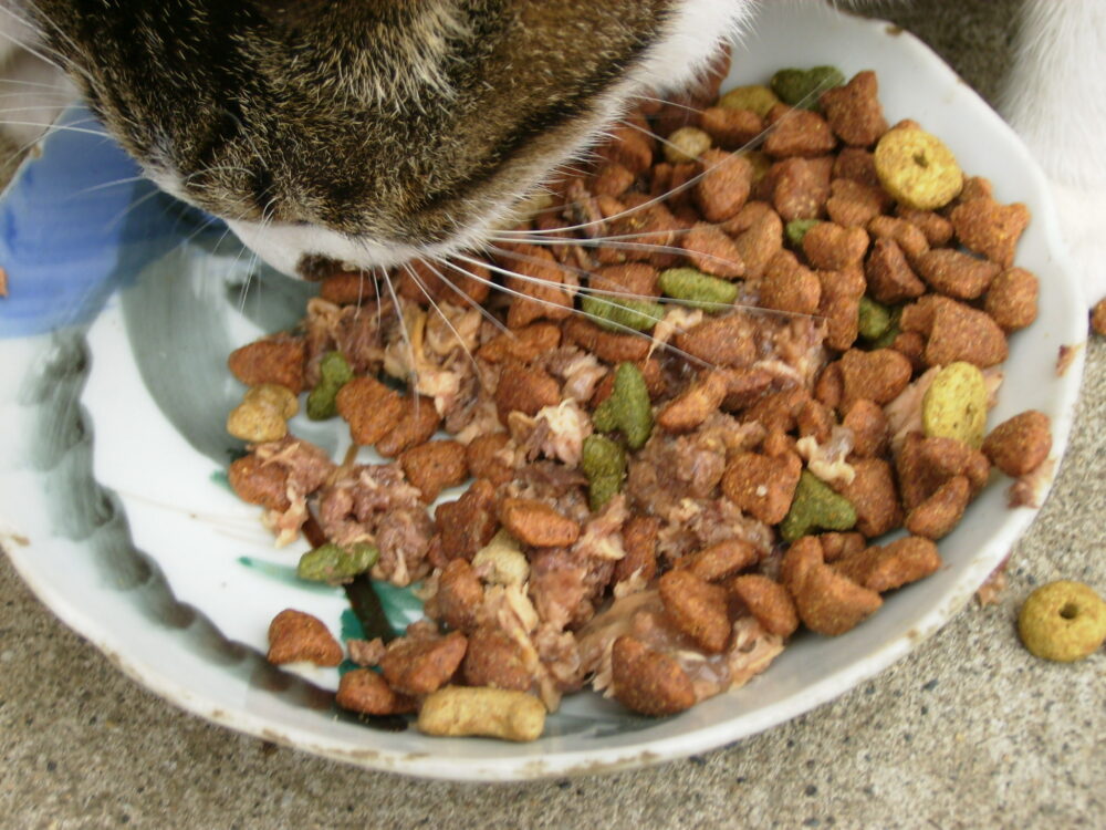 Is Meow Mix cat food made in China?