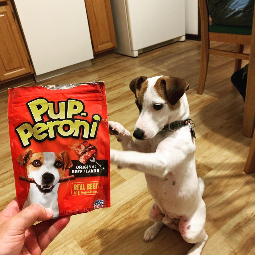 Is Pup-Peroni good for dogs?
