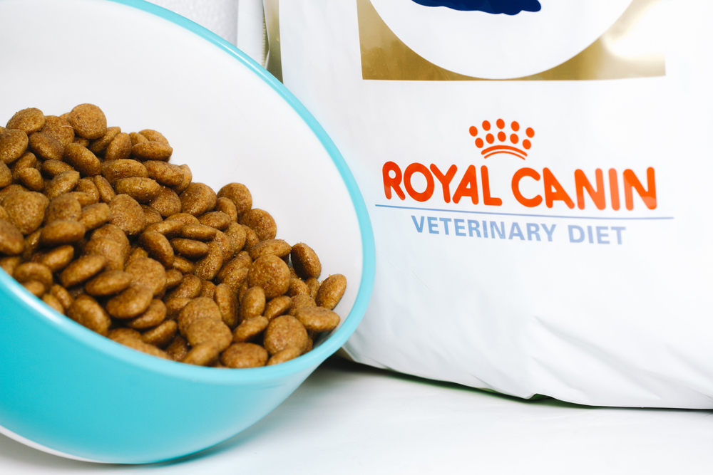 Is Royal Canin good for dogs with sensitive stomachs?