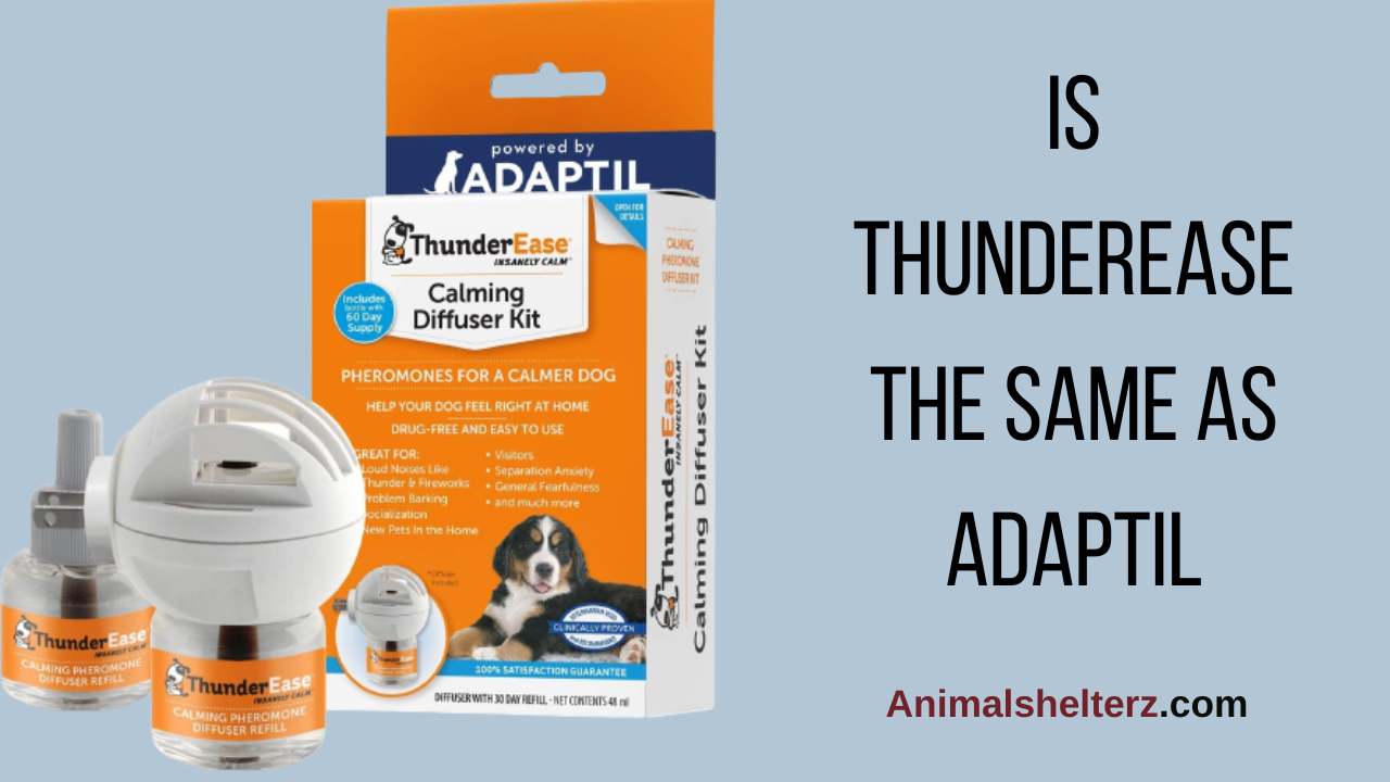 Is ThunderEase the same as Adaptil