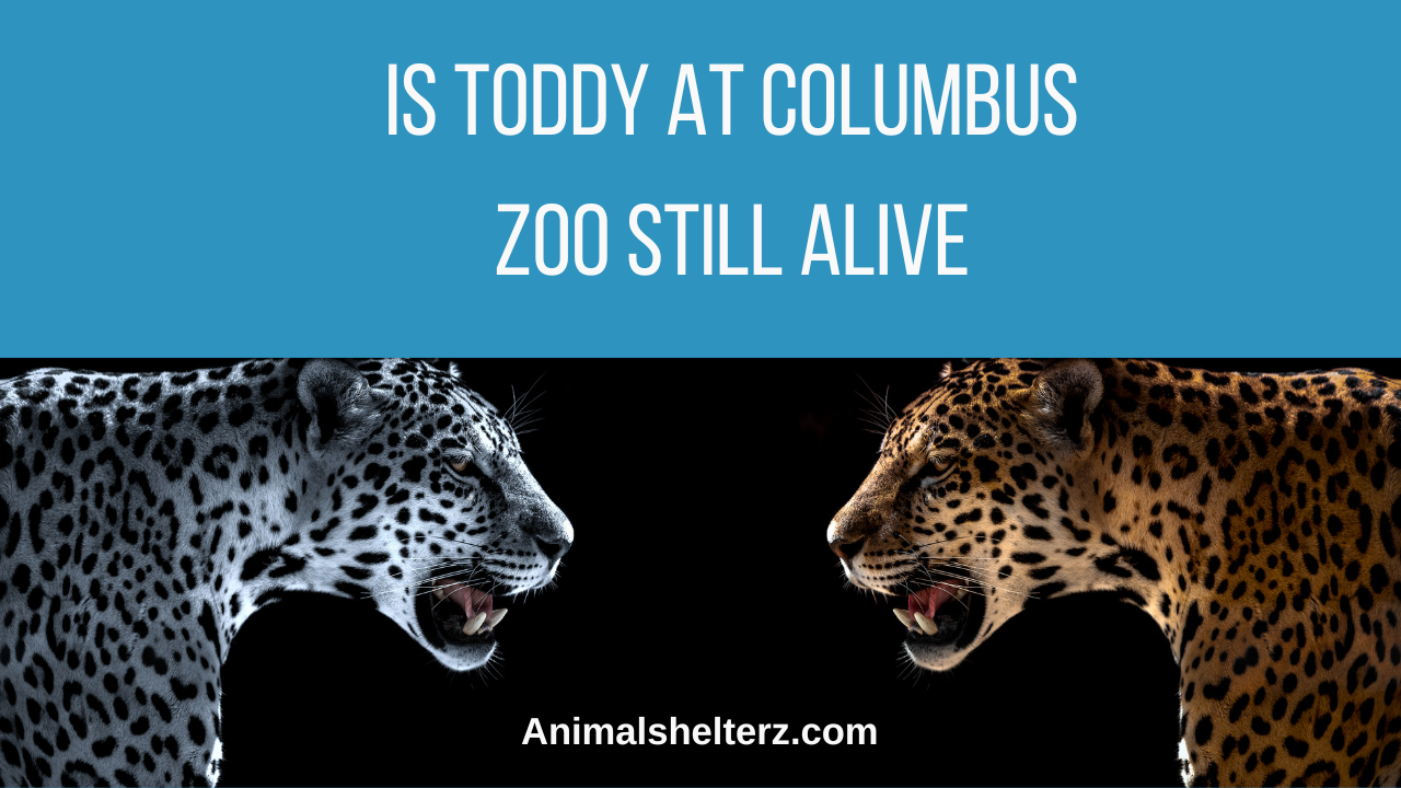 Is Toddy at Columbus Zoo still alive