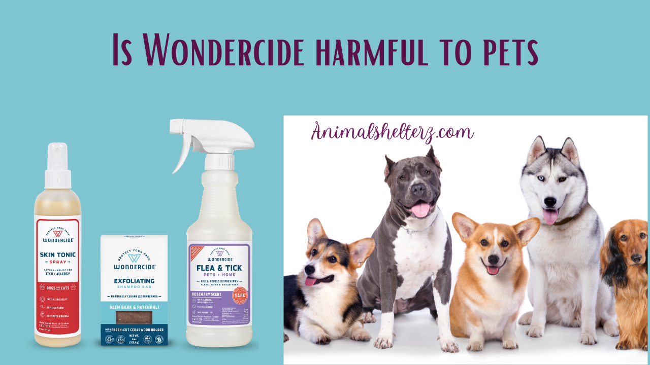Is Wondercide harmful to pets