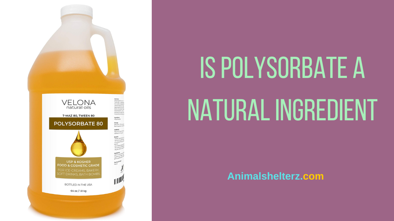 Is polysorbate a natural ingredient
