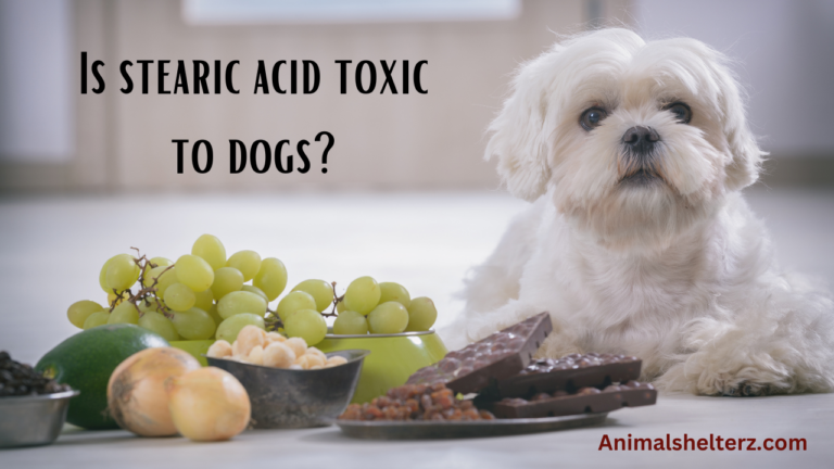 Is stearic acid toxic to dogs?