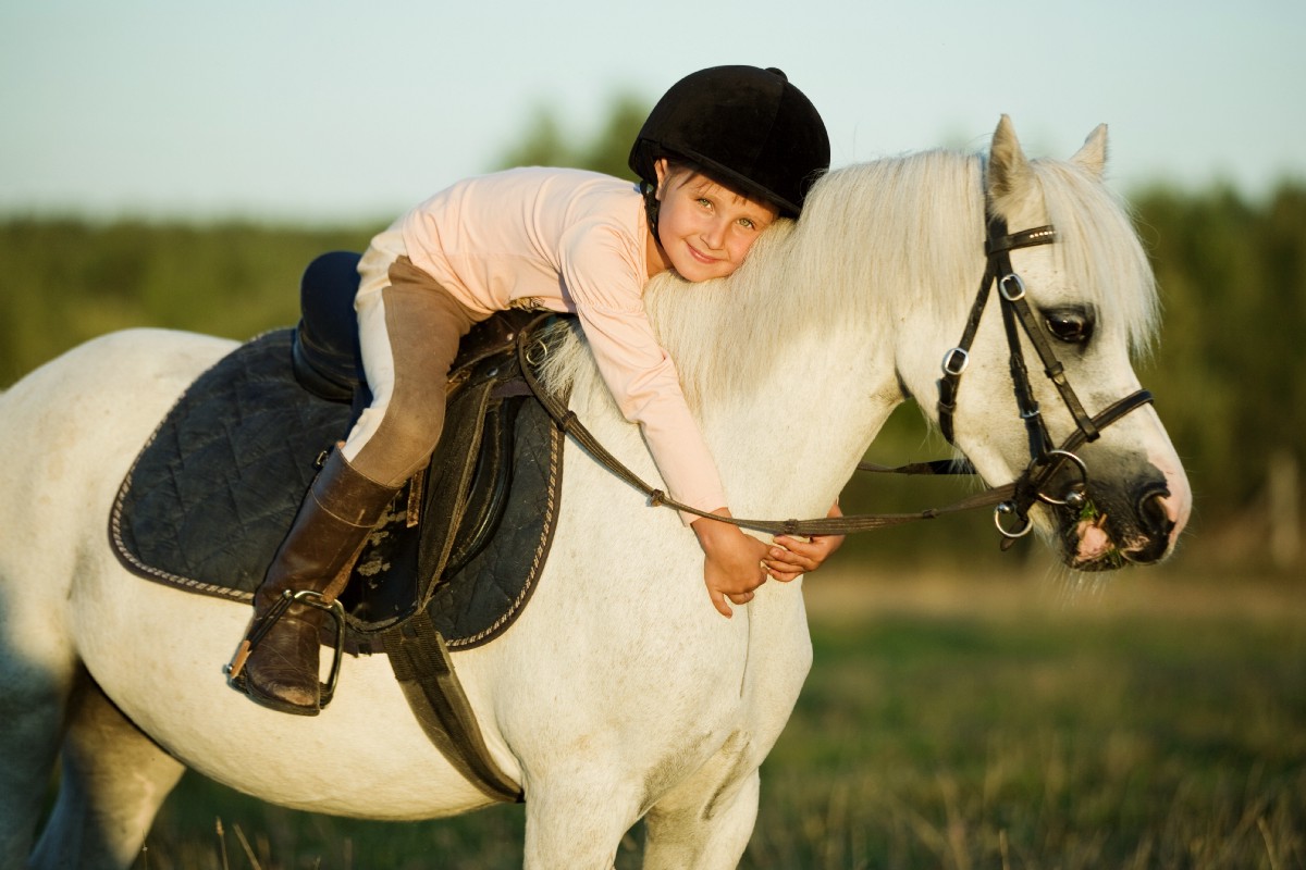 What age should horses start being ridden?