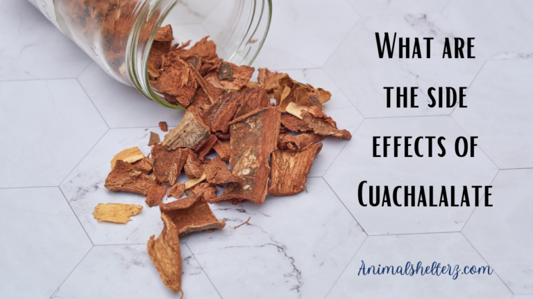 What are the side effects of Cuachalalate?