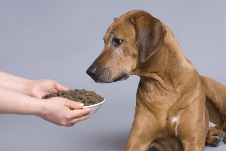 What brand of dog food is killing dogs?